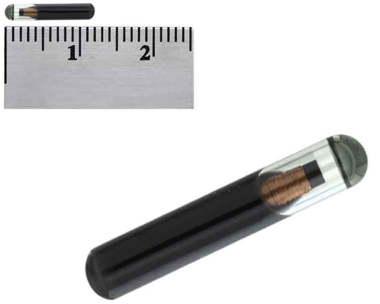 ID-162-B